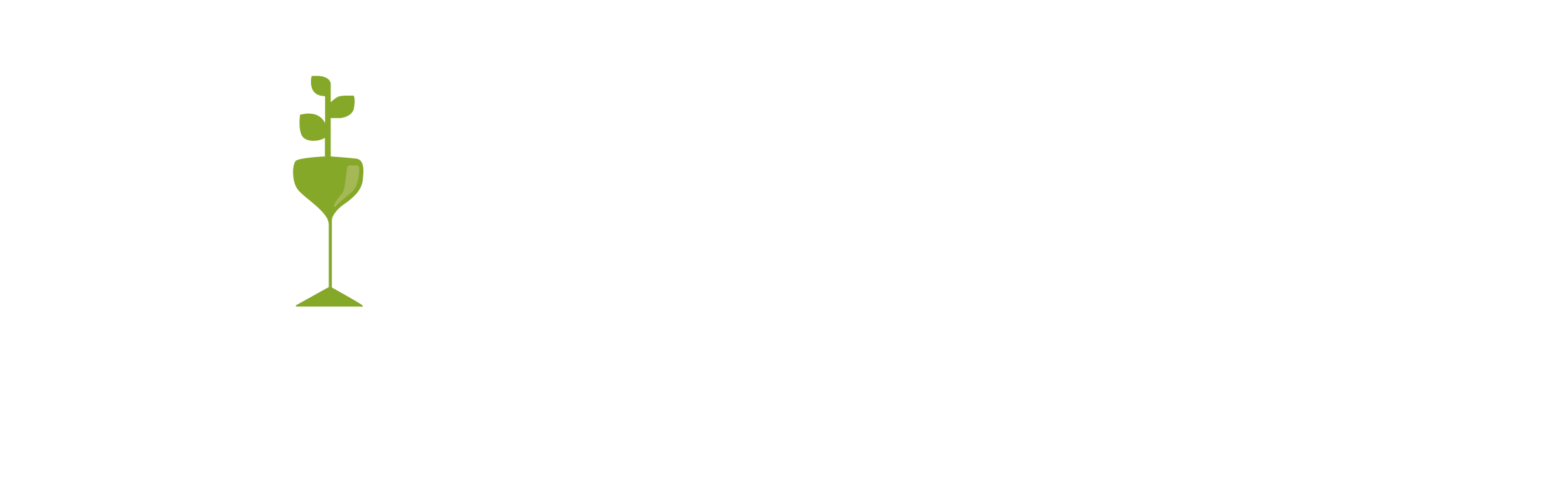 Timeless Beauty Wellness